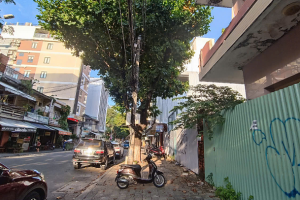 CẦN BÁN 817 m² ĐẤT Ở TẠI ĐƯỜNG PHAN ĐÌNH PHÙNG, TP ĐÀ NẴNG